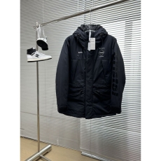 Unclassified Brand Down Jackets